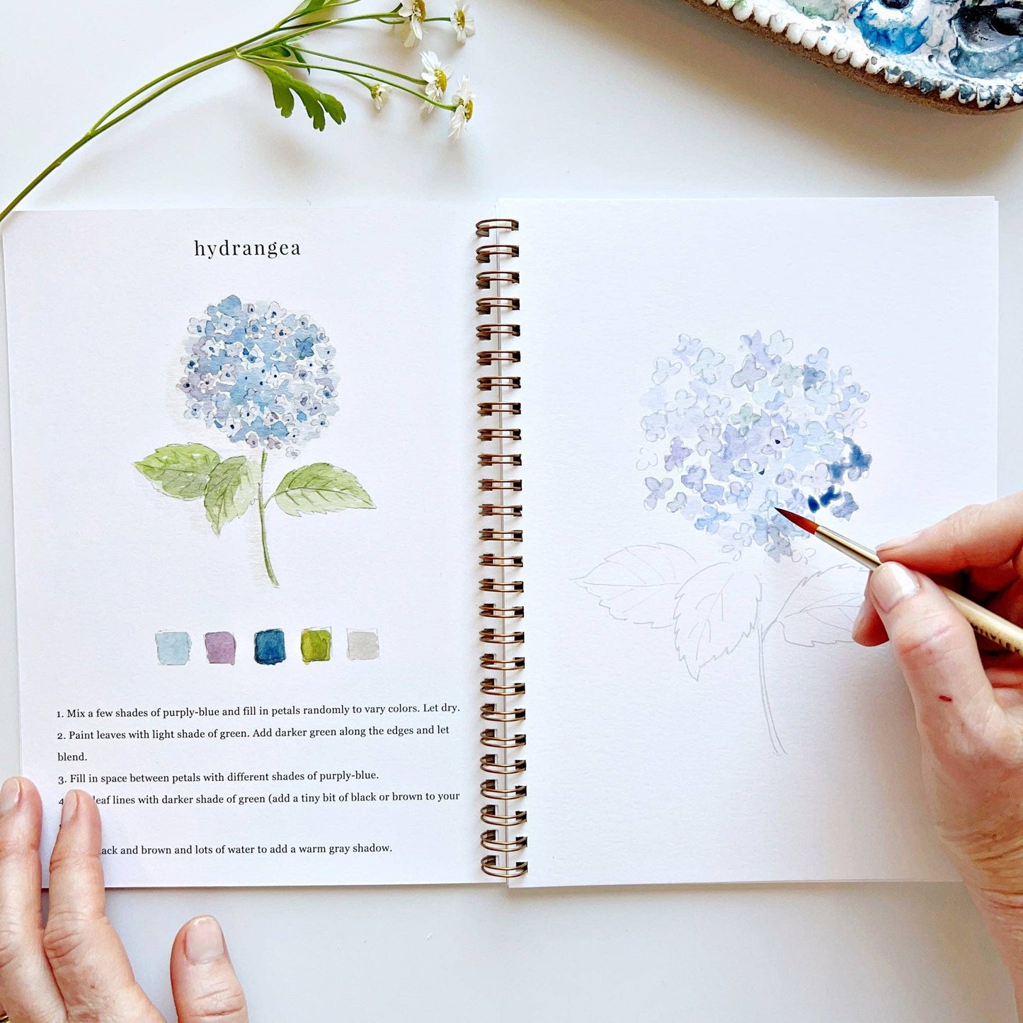 Watercolor Workbooks By Emily Lex Studio — practice lessons, exercises and study projects