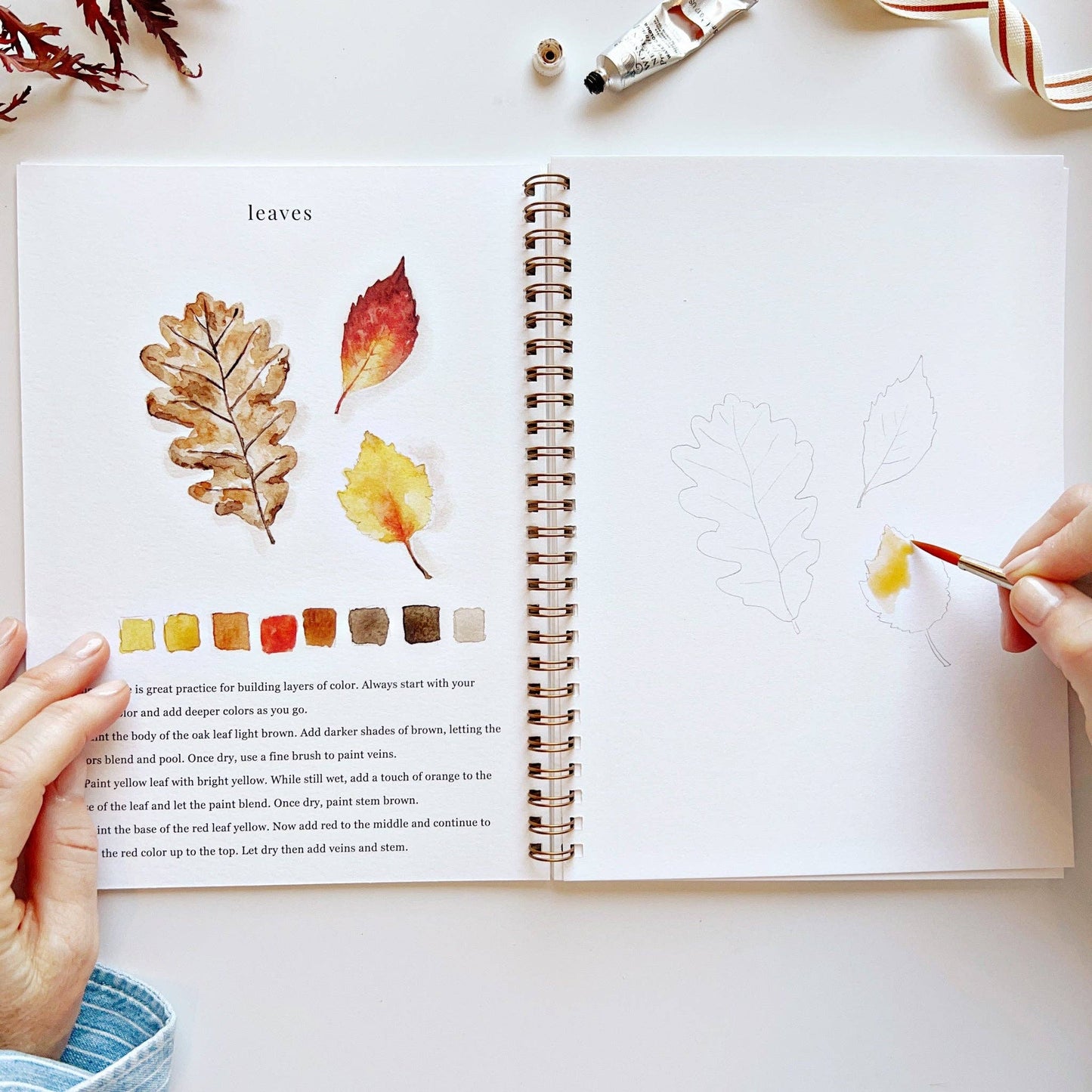 Watercolor Workbooks By Emily Lex Studio — practice lessons, exercises and study projects