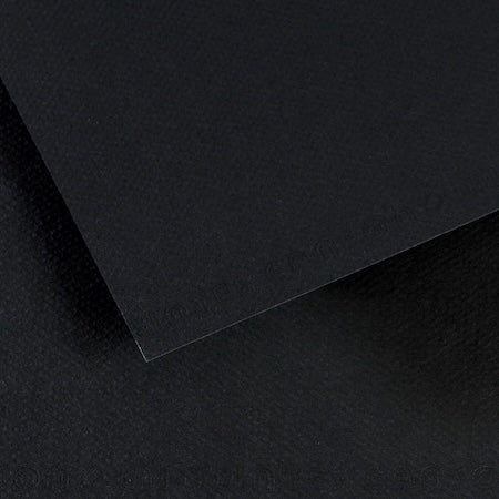 Canson Mi-Teintes Paper Sheet, 19" x 25" Sheets