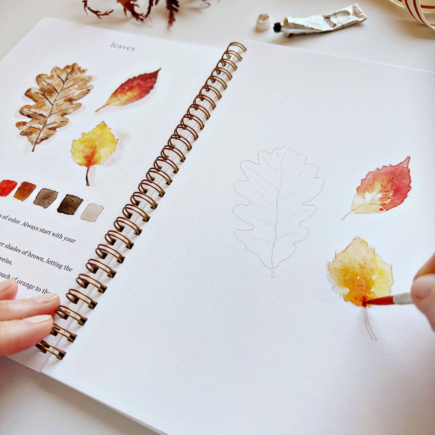 Watercolor Workbooks By Emily Lex Studio — practice lessons, exercises and study projects