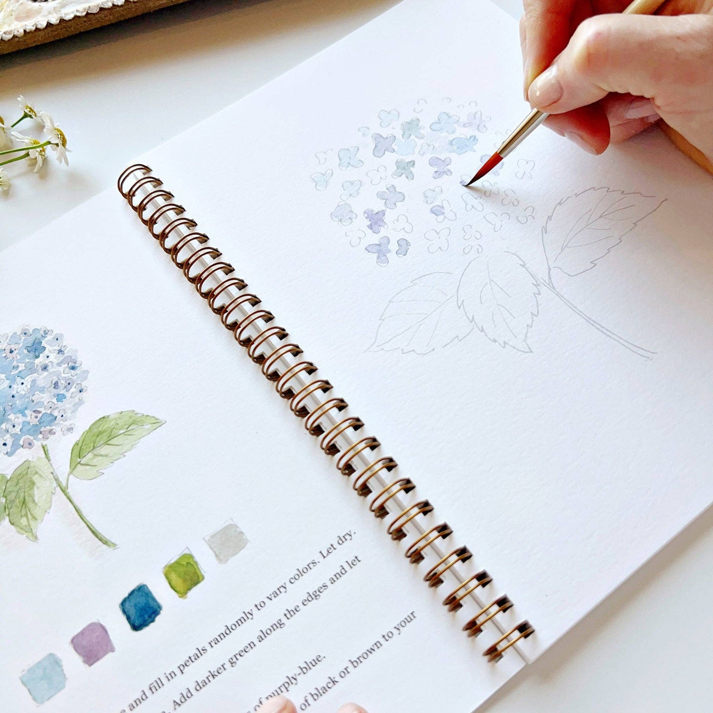 Watercolor Workbooks By Emily Lex Studio — practice lessons, exercises and study projects