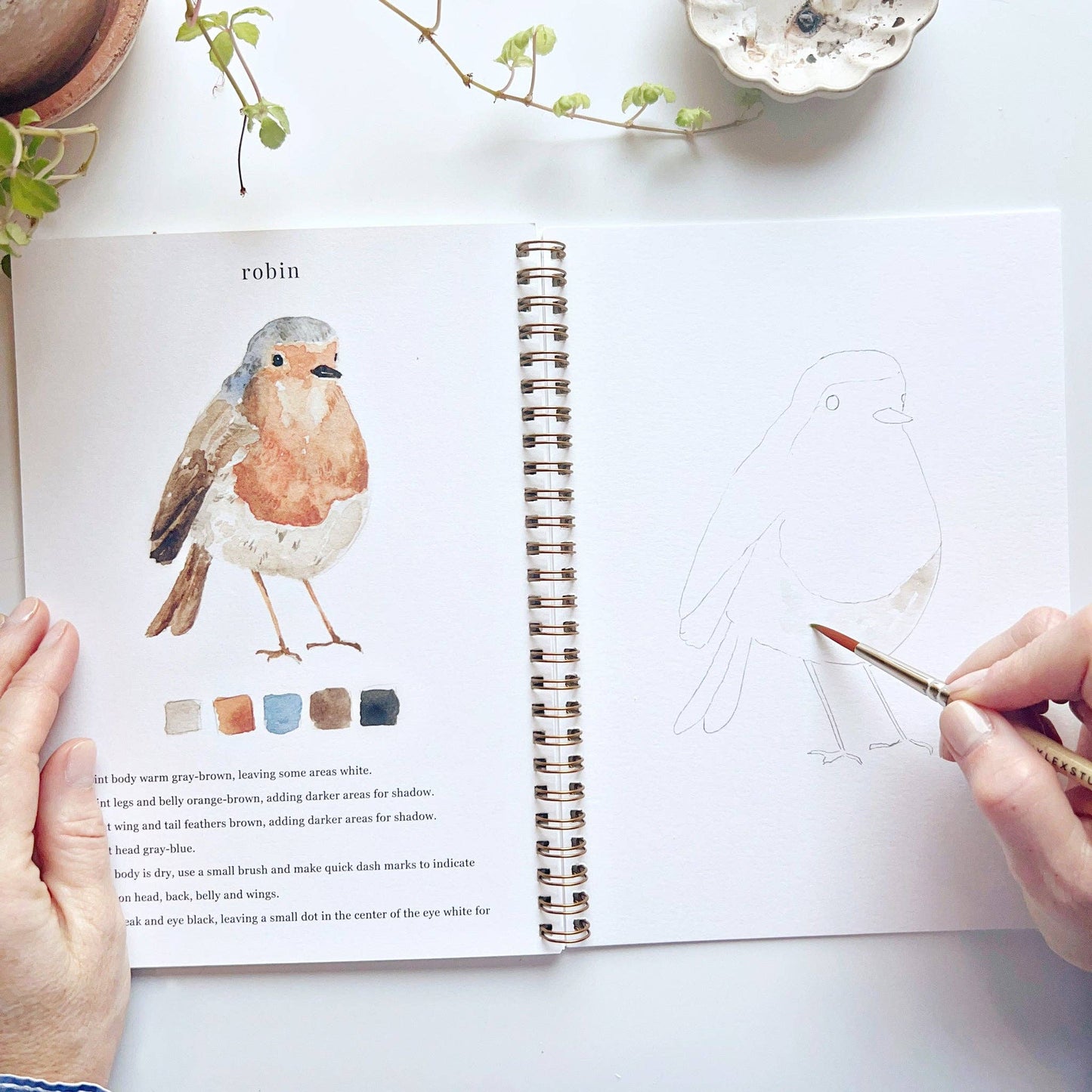 Watercolor Workbooks By Emily Lex Studio — practice lessons, exercises and study projects