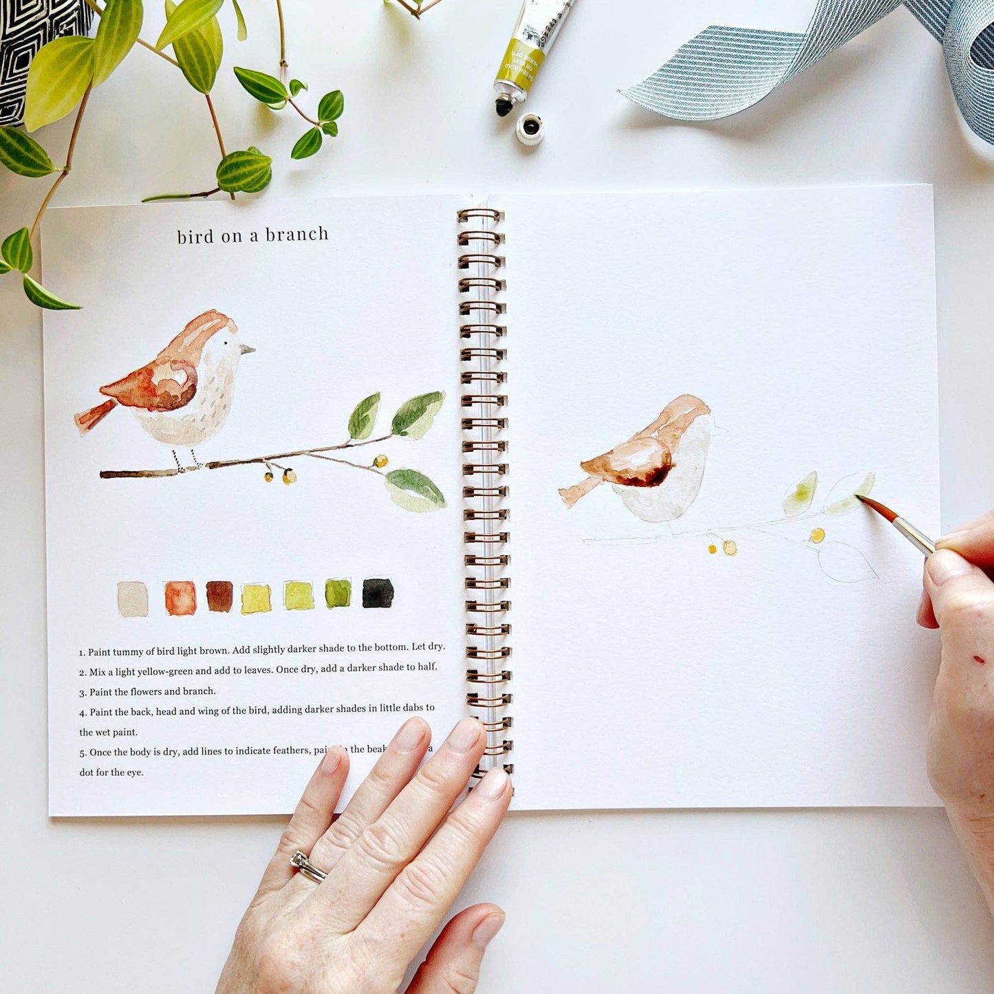 Watercolor Workbooks By Emily Lex Studio — practice lessons, exercises and study projects