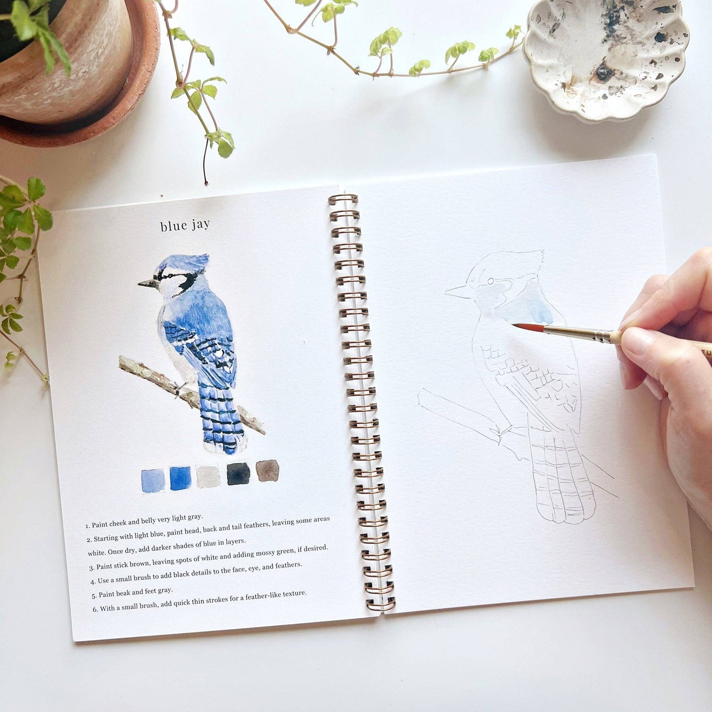 Watercolor Workbooks By Emily Lex Studio — practice lessons, exercises and study projects
