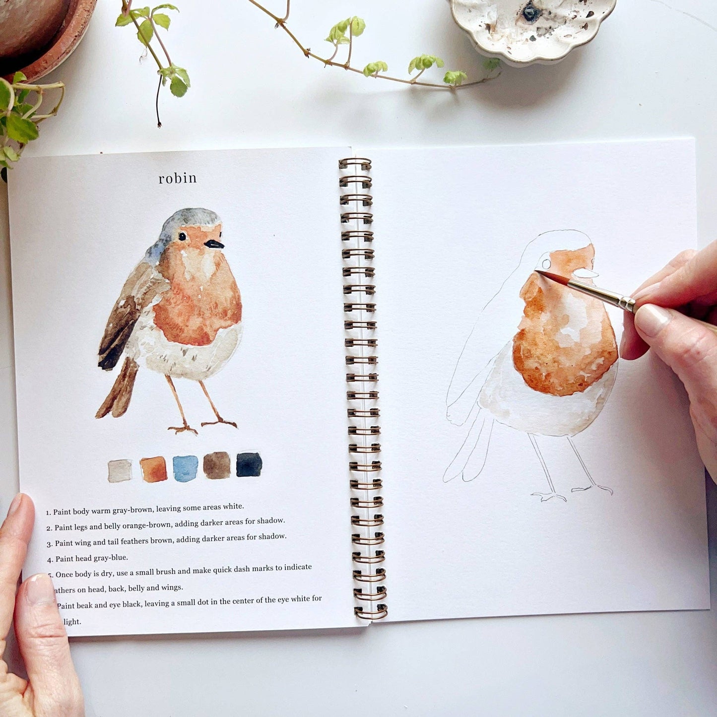 Watercolor Workbooks By Emily Lex Studio — practice lessons, exercises and study projects