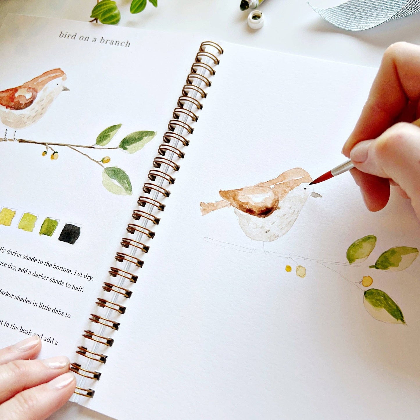 Watercolor Workbooks By Emily Lex Studio — practice lessons, exercises and study projects