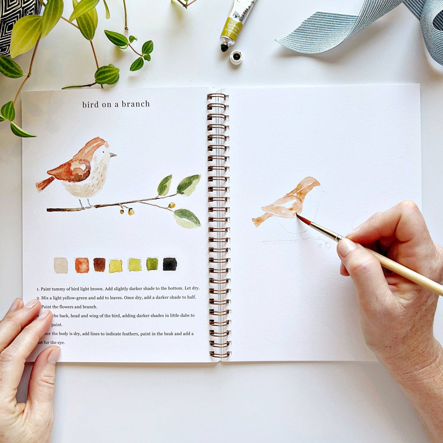 Watercolor Workbooks By Emily Lex Studio — practice lessons, exercises and study projects