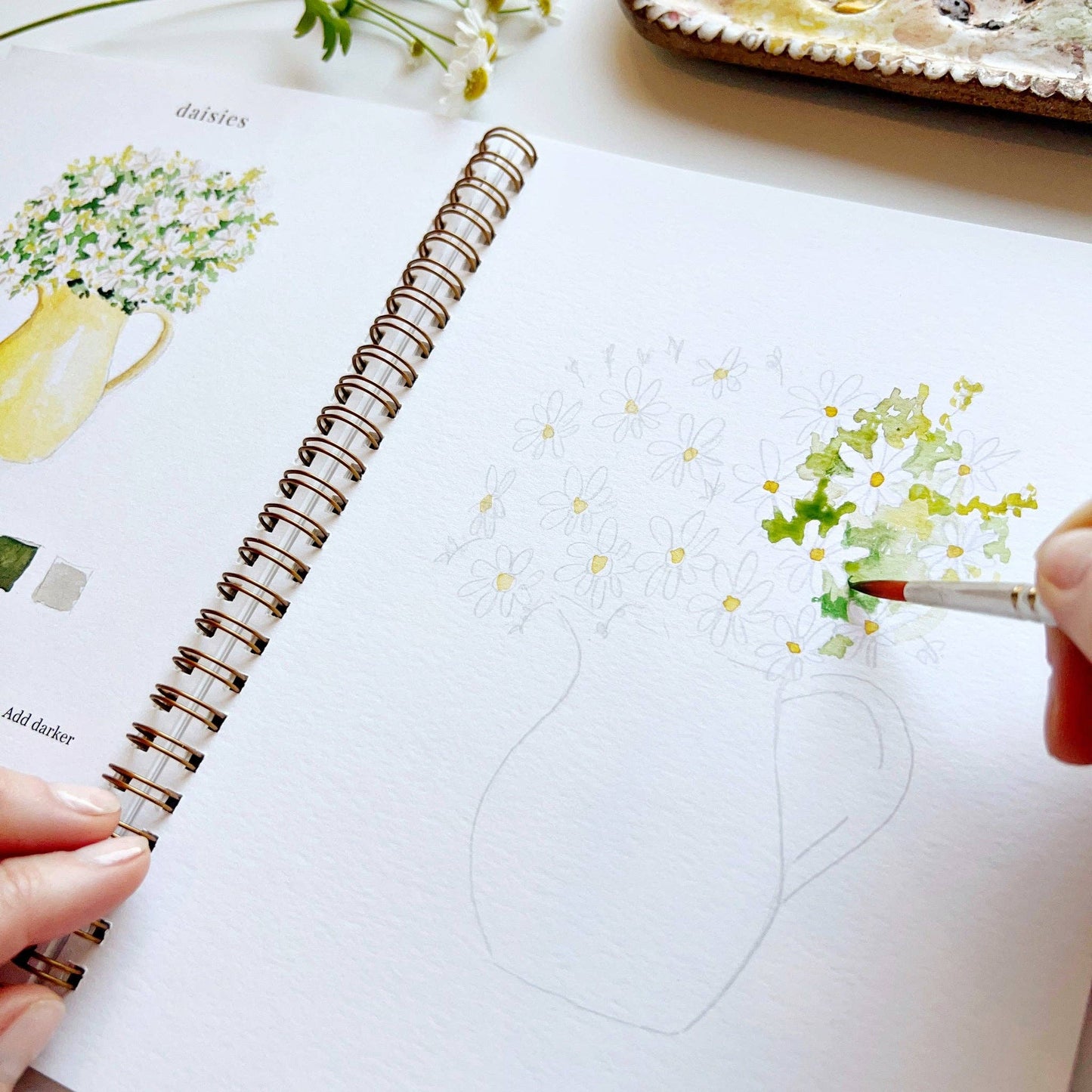Watercolor Workbooks By Emily Lex Studio — practice lessons, exercises and study projects