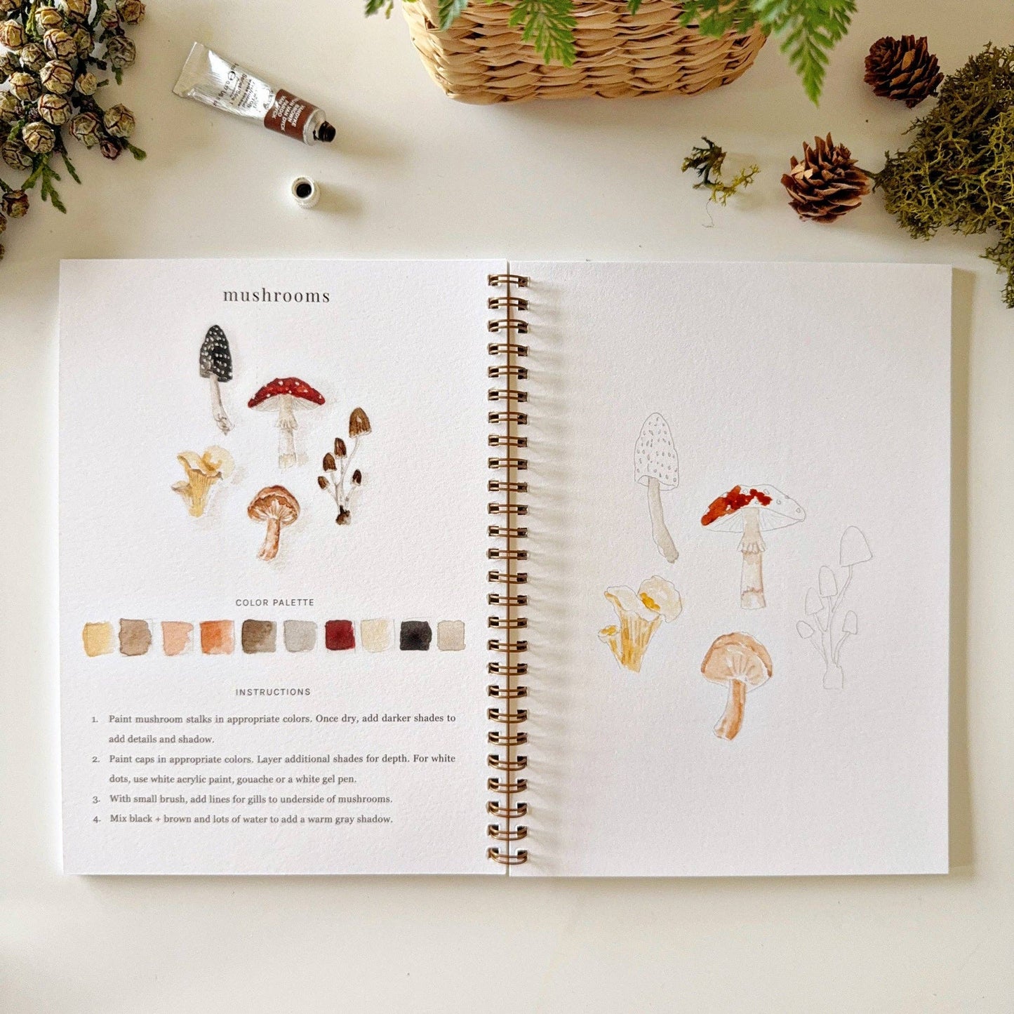 Watercolor Workbooks By Emily Lex Studio — practice lessons, exercises and study projects