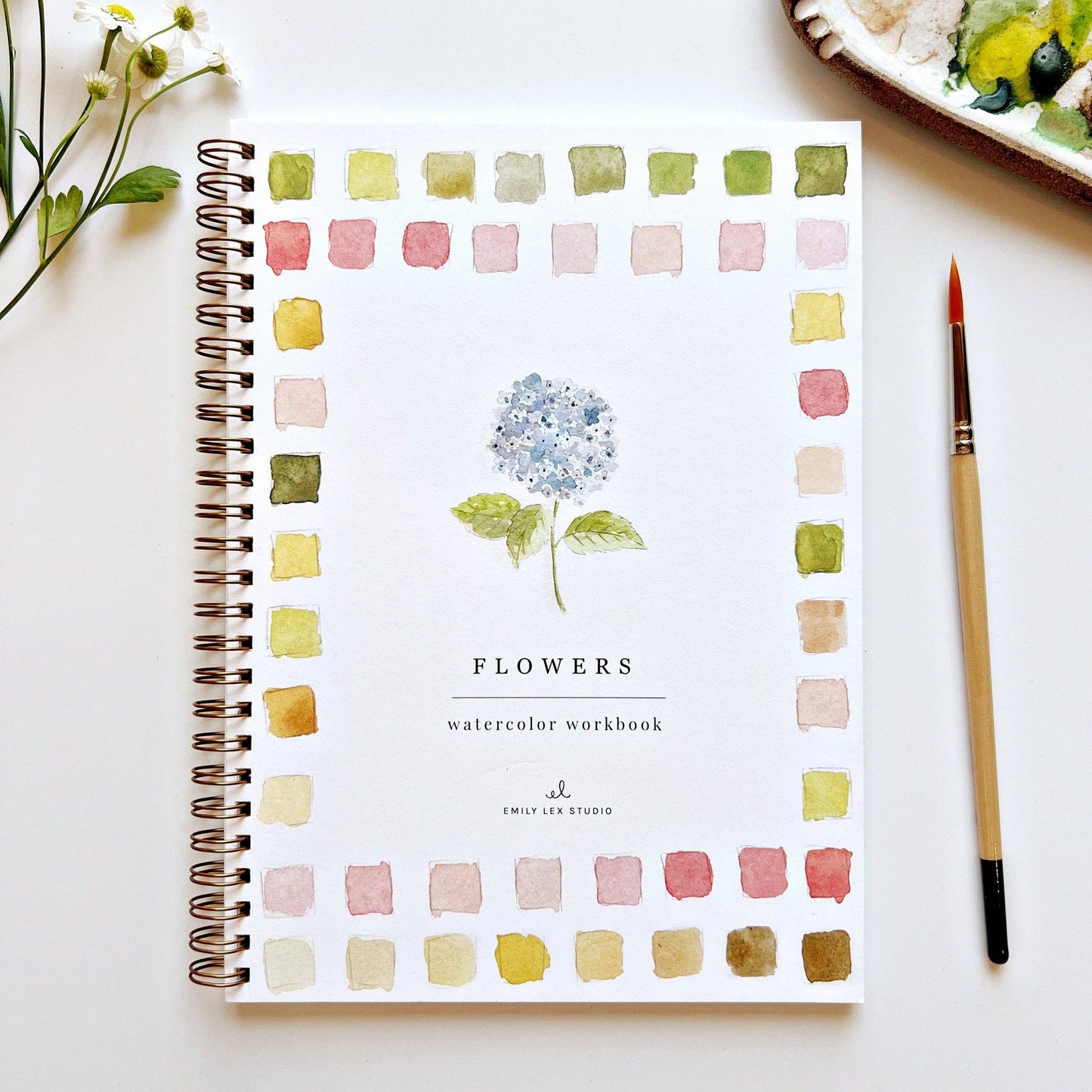 Watercolor Workbooks By Emily Lex Studio — practice lessons, exercises and study projects