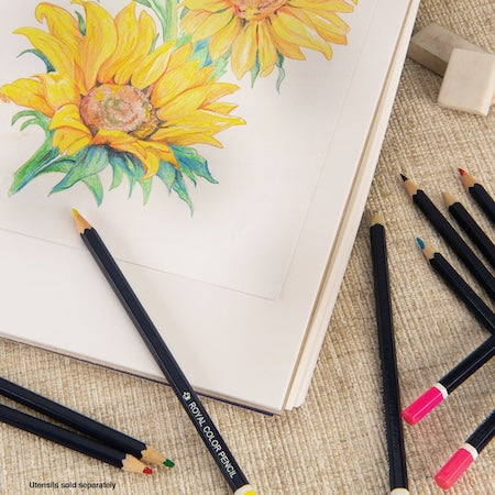 Bee Elite Spiral Drawing Pad