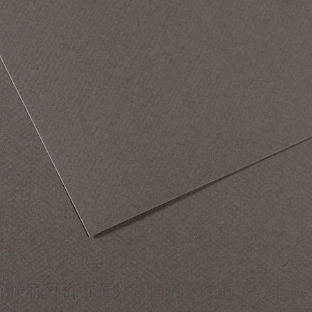 Canson Mi-Teintes Paper Sheet, 19" x 25" Sheets