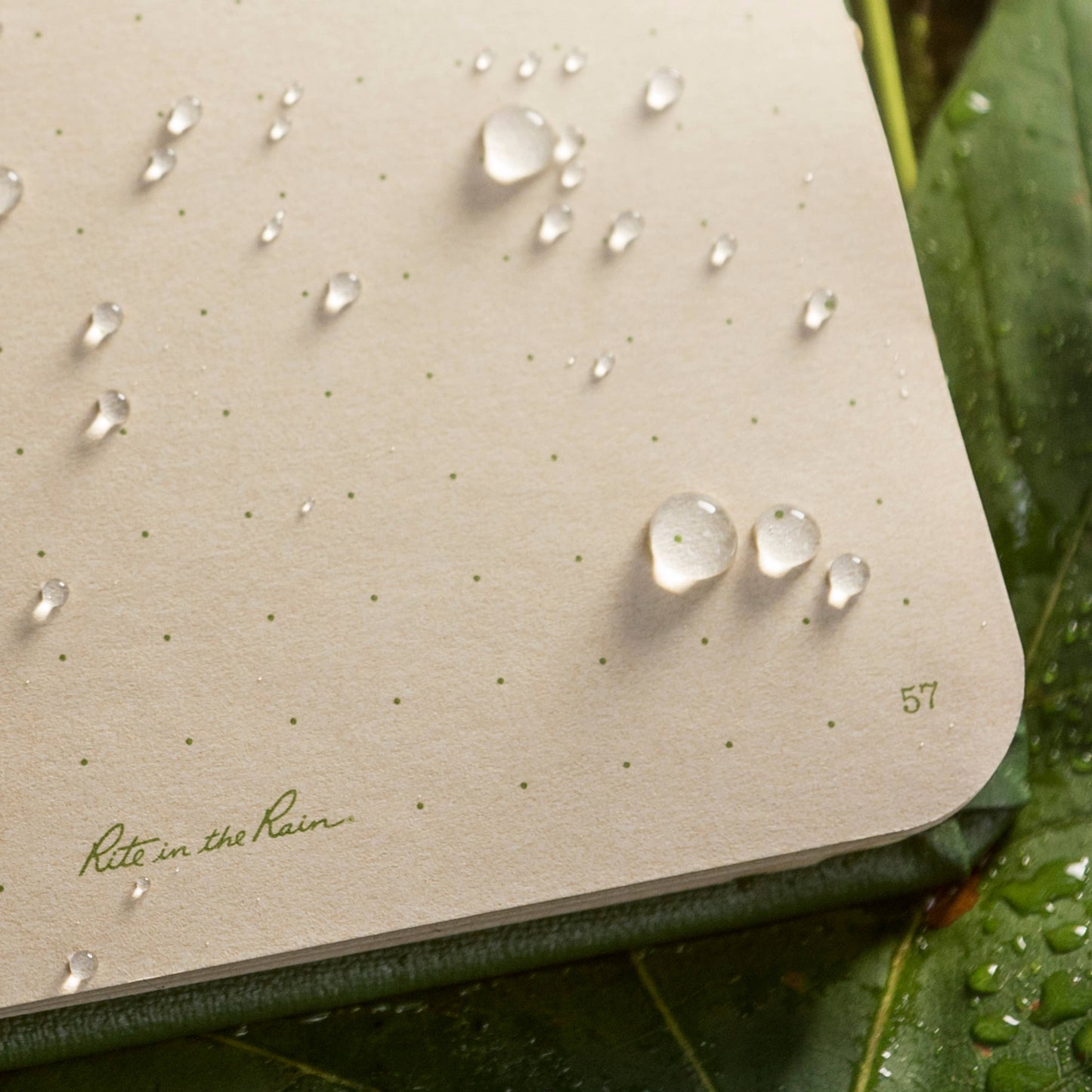 BOUND BOOK - GREEN FABRIKOID COVER