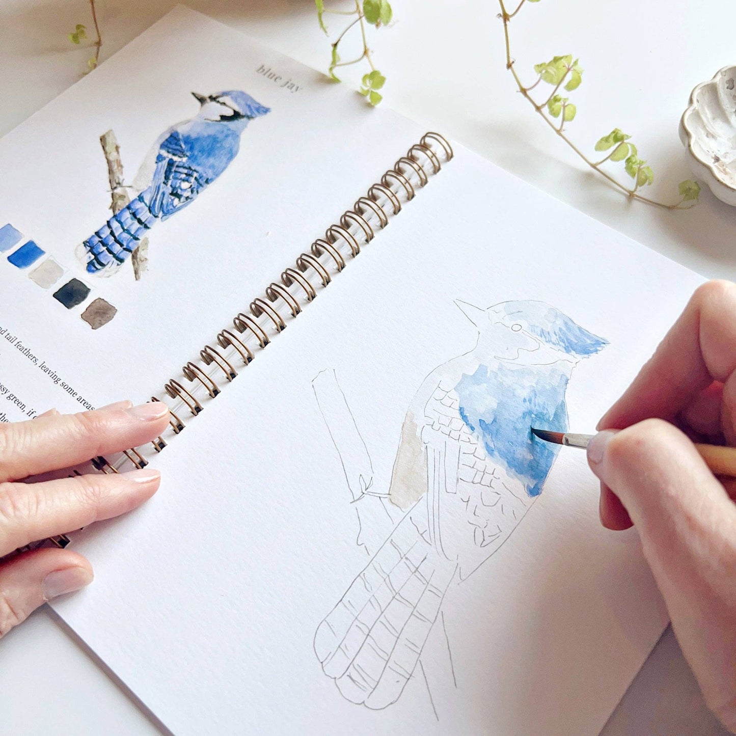 Watercolor Workbooks By Emily Lex Studio — practice lessons, exercises and study projects