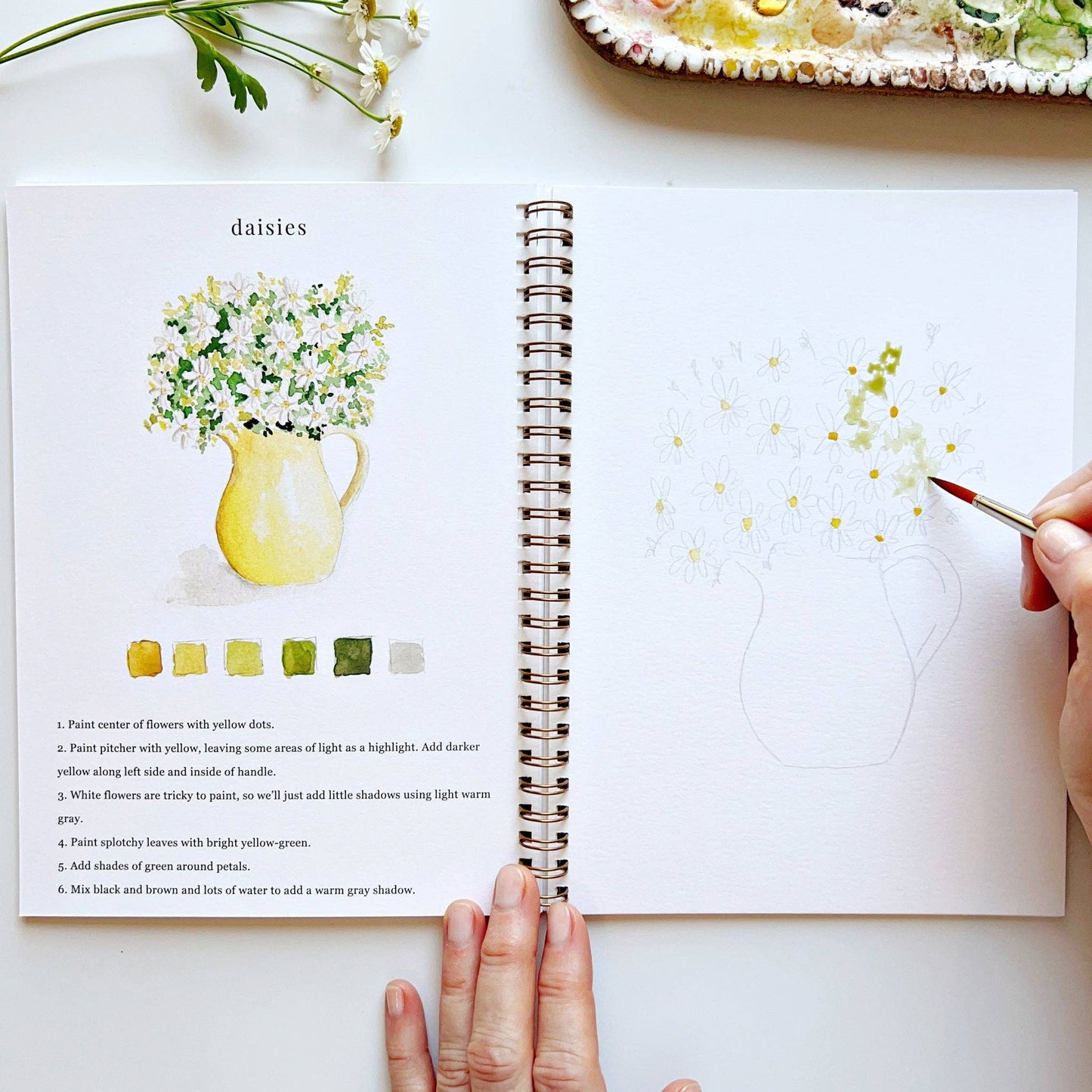 Watercolor Workbooks By Emily Lex Studio — practice lessons, exercises and study projects