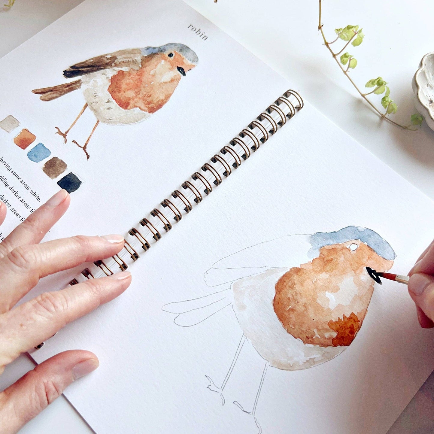 Watercolor Workbooks By Emily Lex Studio — practice lessons, exercises and study projects