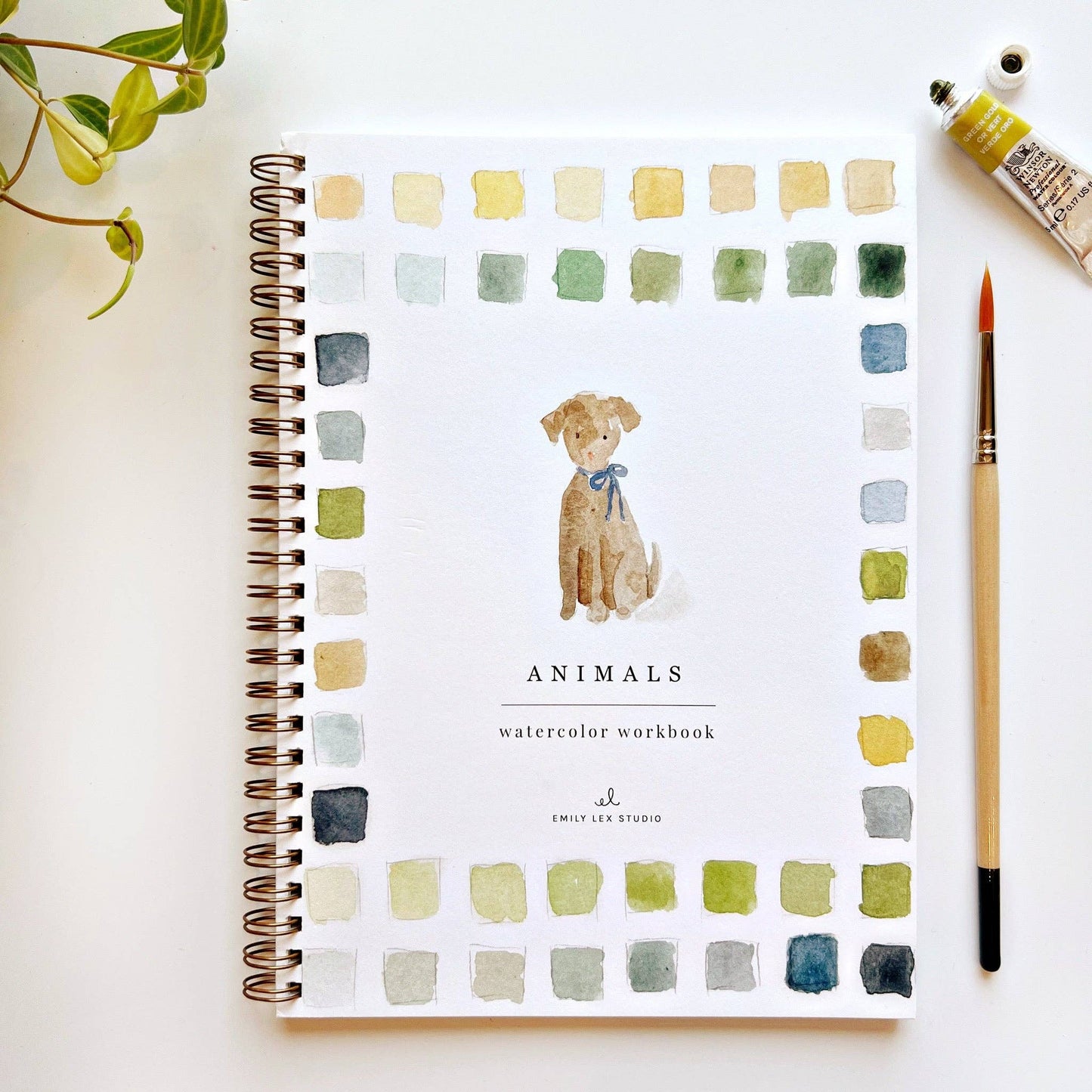 Watercolor Workbooks By Emily Lex Studio — practice lessons, exercises and study projects