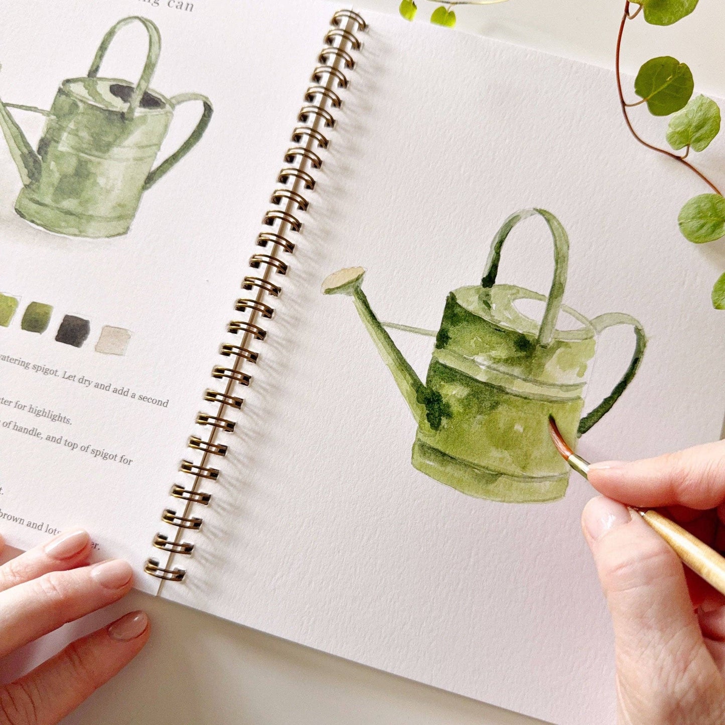Watercolor Workbooks By Emily Lex Studio — practice lessons, exercises and study projects