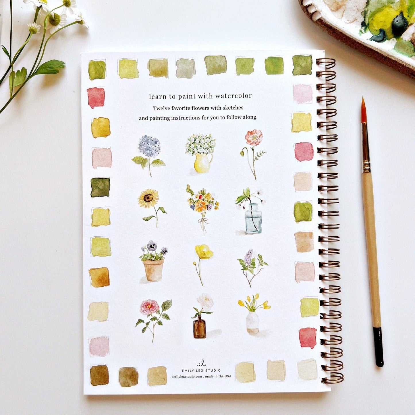Watercolor Workbooks By Emily Lex Studio — practice lessons, exercises and study projects