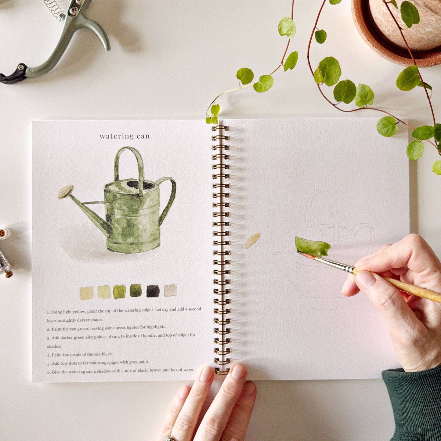 Watercolor Workbooks By Emily Lex Studio — practice lessons, exercises and study projects