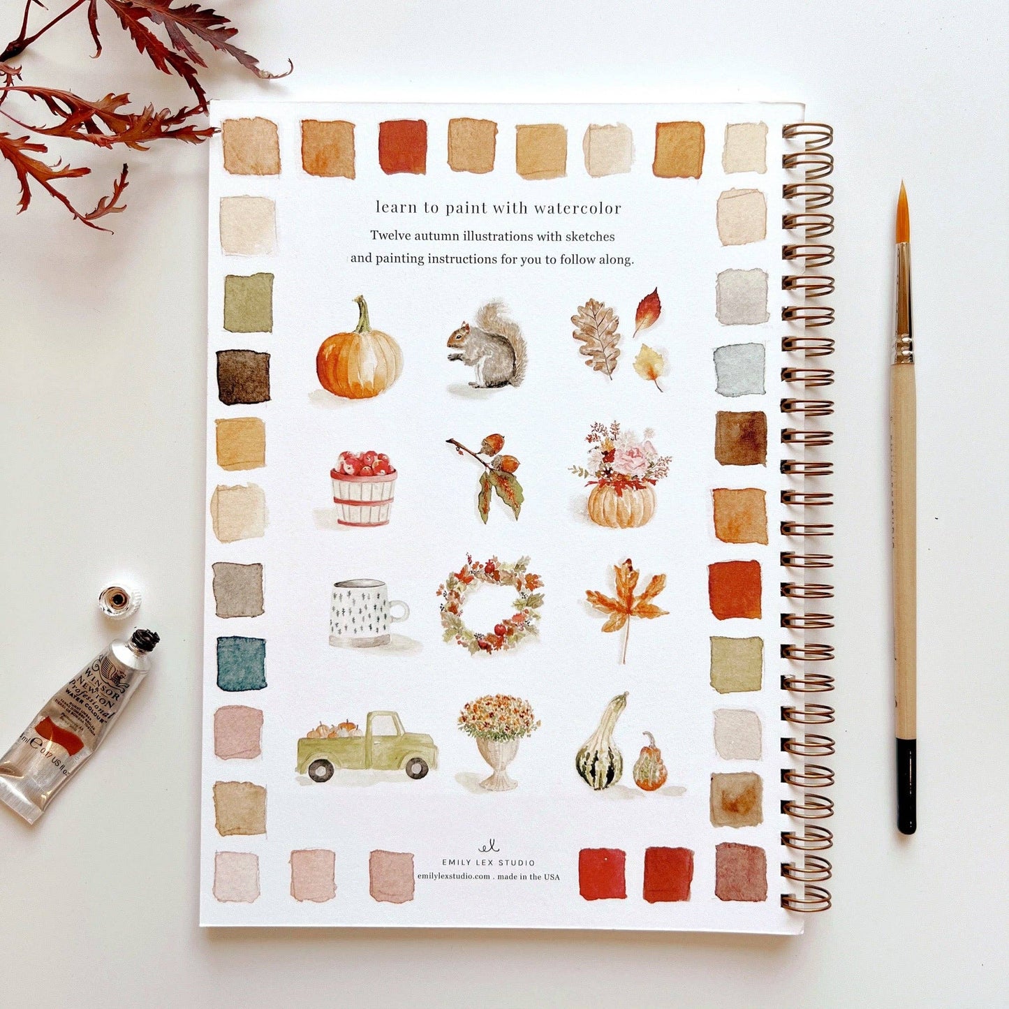 Watercolor Workbooks By Emily Lex Studio — practice lessons, exercises and study projects