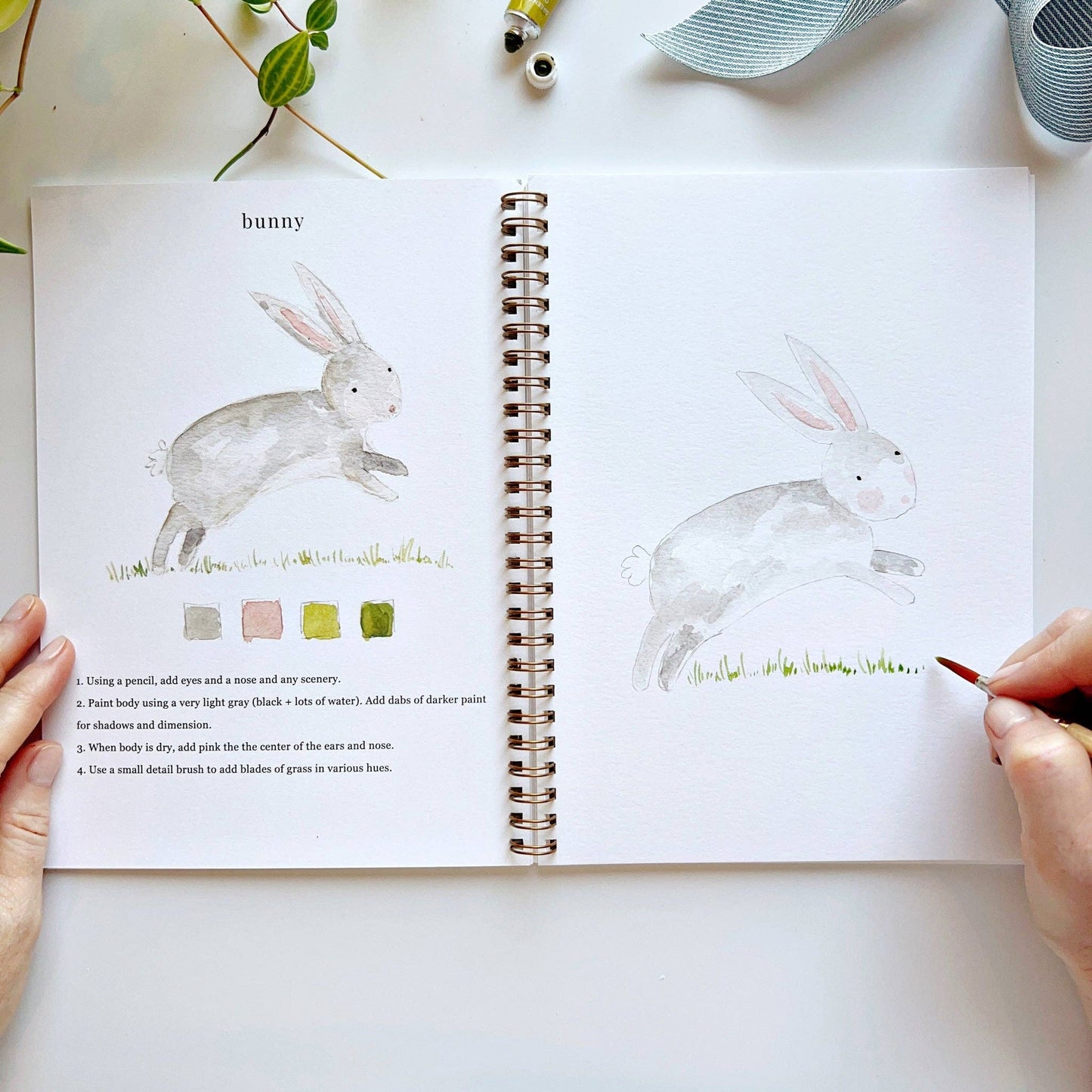 Watercolor Workbooks By Emily Lex Studio — practice lessons, exercises and study projects