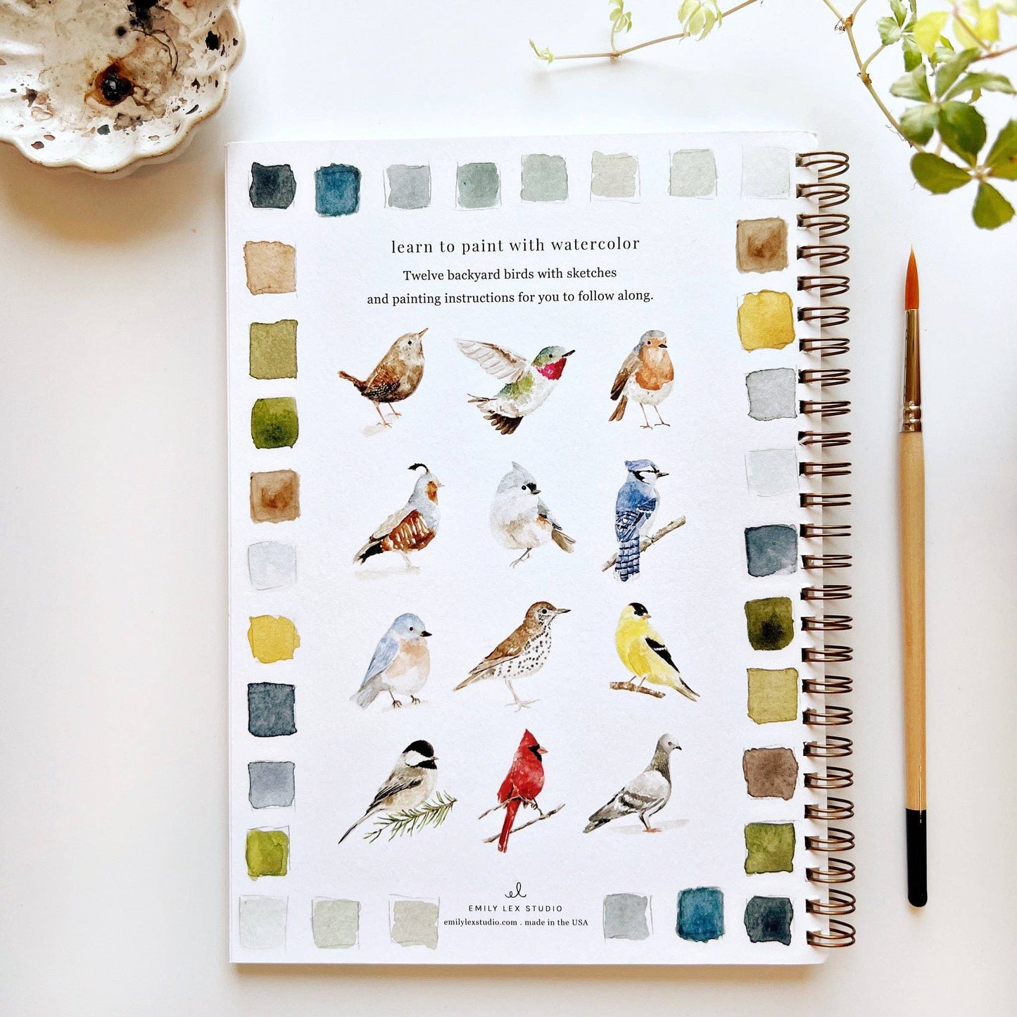 Watercolor Workbooks By Emily Lex Studio — practice lessons, exercises and study projects