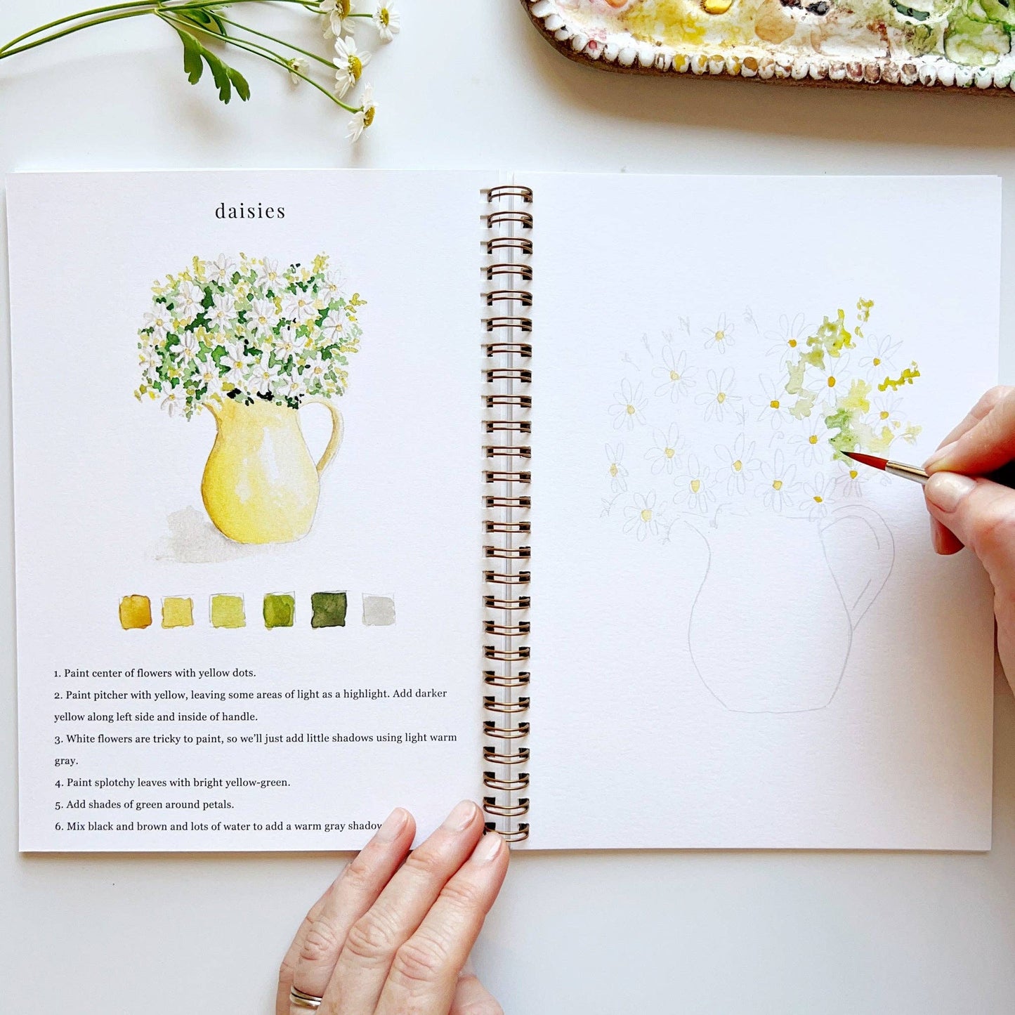 Watercolor Workbooks By Emily Lex Studio — practice lessons, exercises and study projects