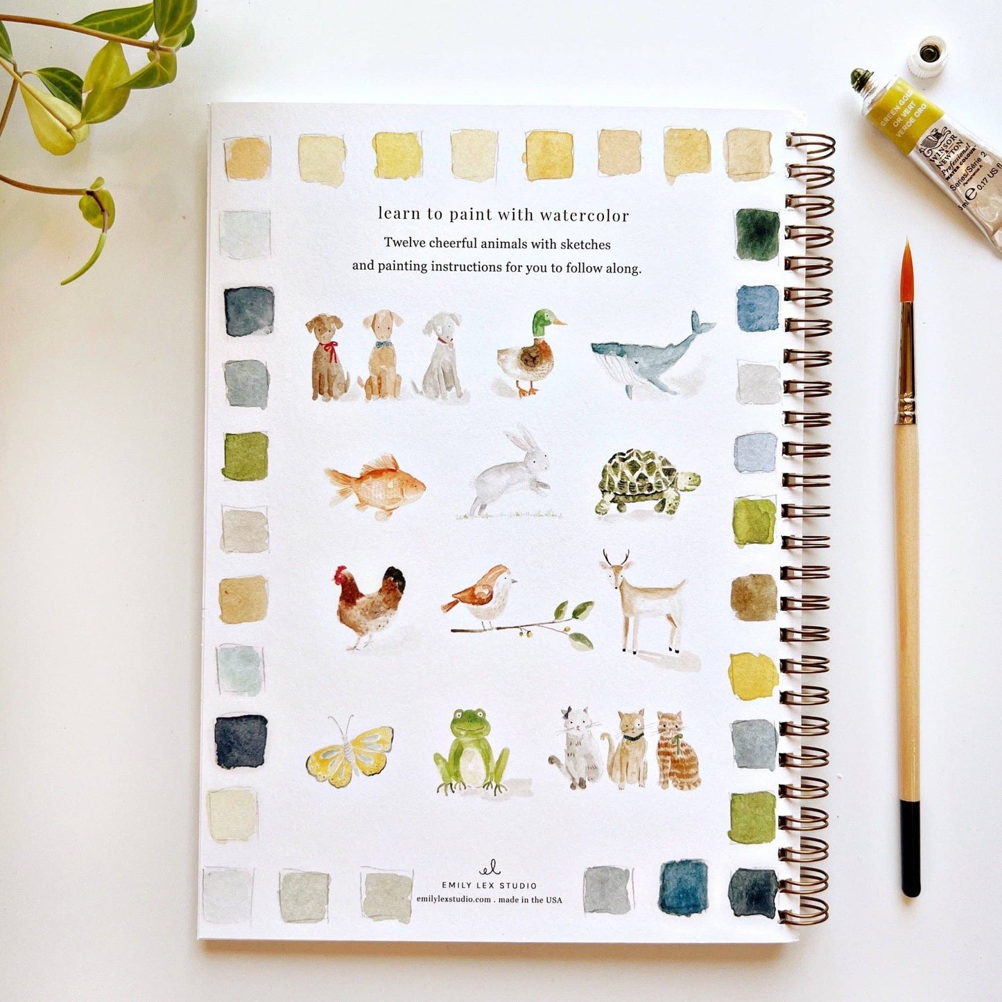 Watercolor Workbooks By Emily Lex Studio — practice lessons, exercises and study projects