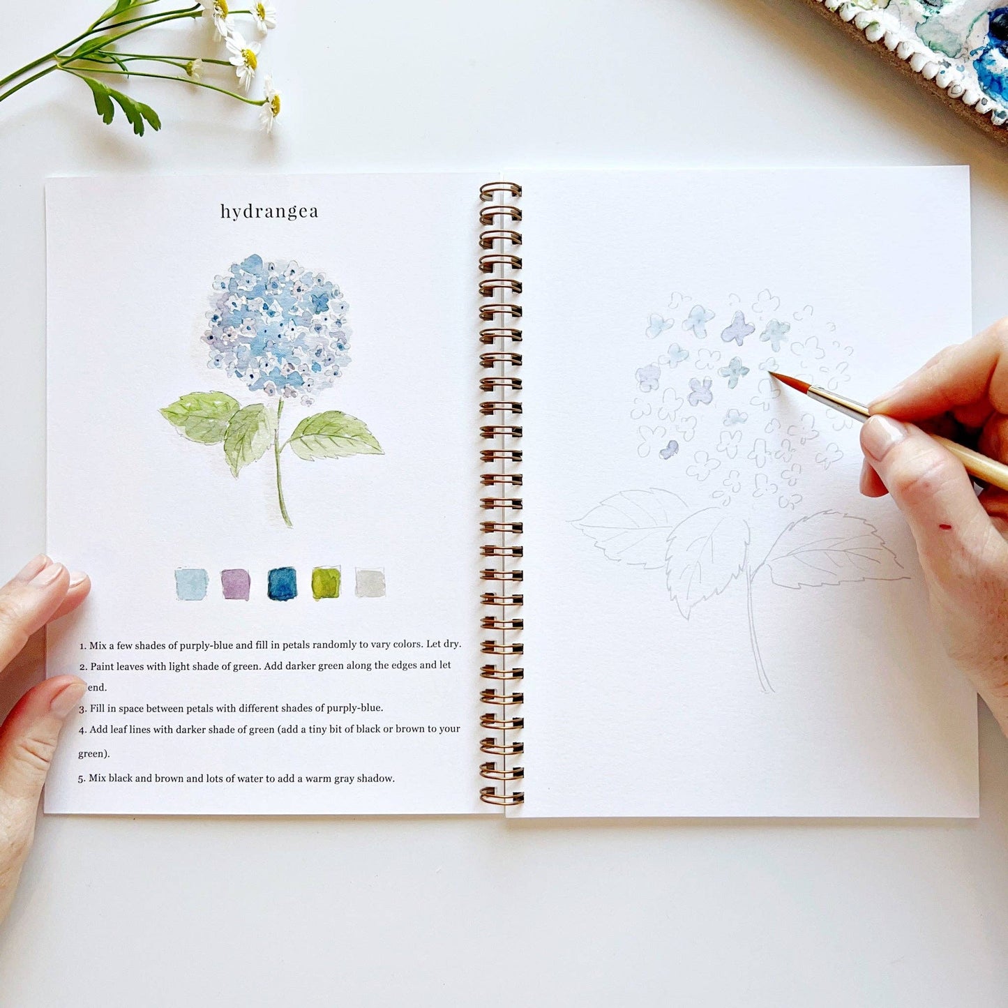 Watercolor Workbooks By Emily Lex Studio — practice lessons, exercises and study projects