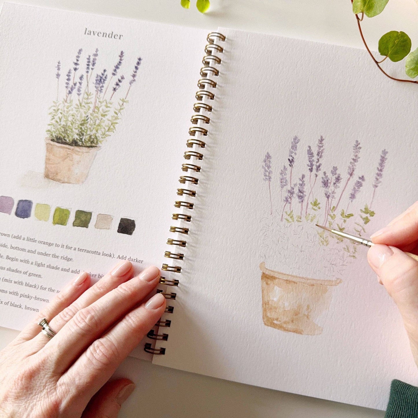 Watercolor Workbooks By Emily Lex Studio  — practice lessons, exercises and study projects