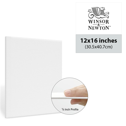 winsor and newton 12 by 16 inch canvas