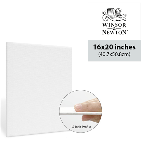 winsor and newton 16 by 20 inch canvas