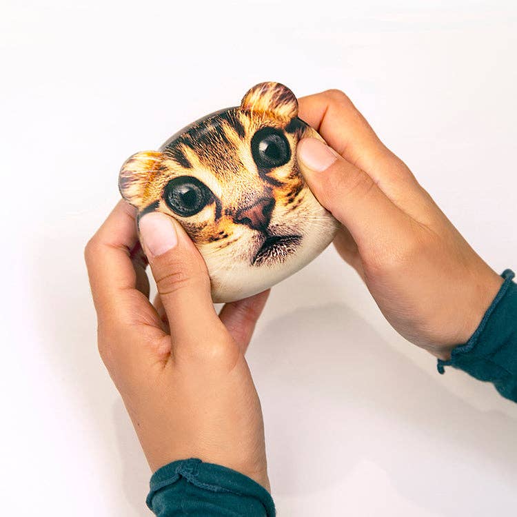 Feline Fire Stress Balls