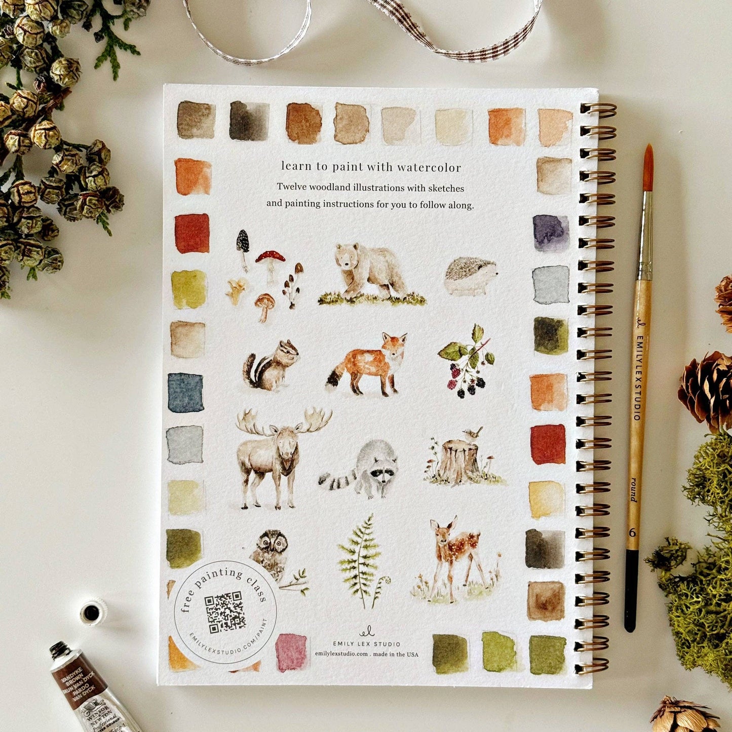 Watercolor Workbooks By Emily Lex Studio  — practice lessons, exercises and study projects