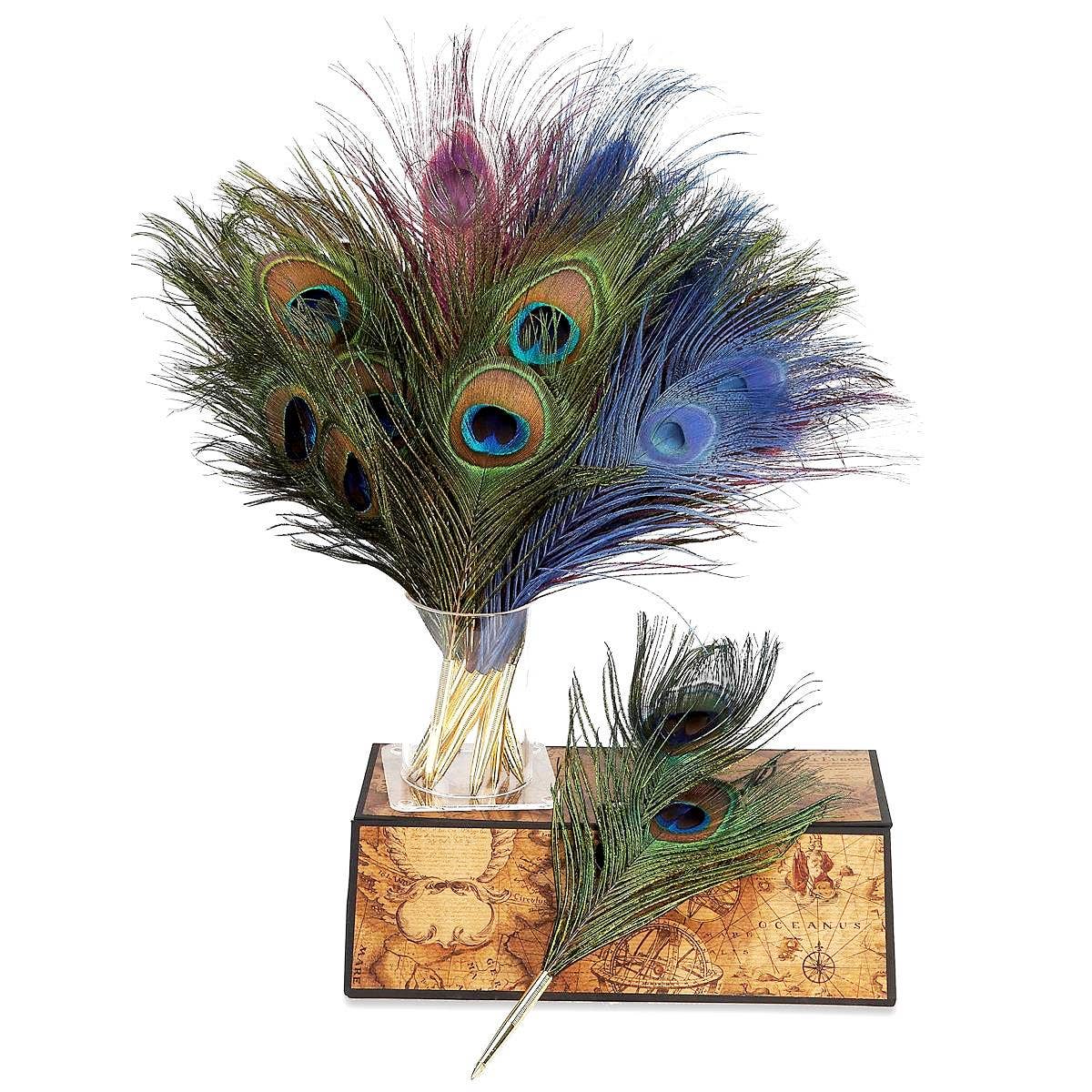 Colorful peacock feathers in a glass vase on a decorative box with a world map design.