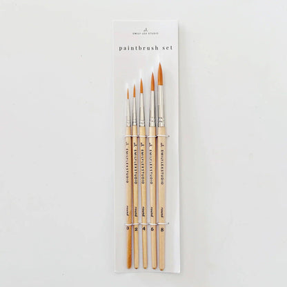 Set of paintbrushes in packaging on a white background