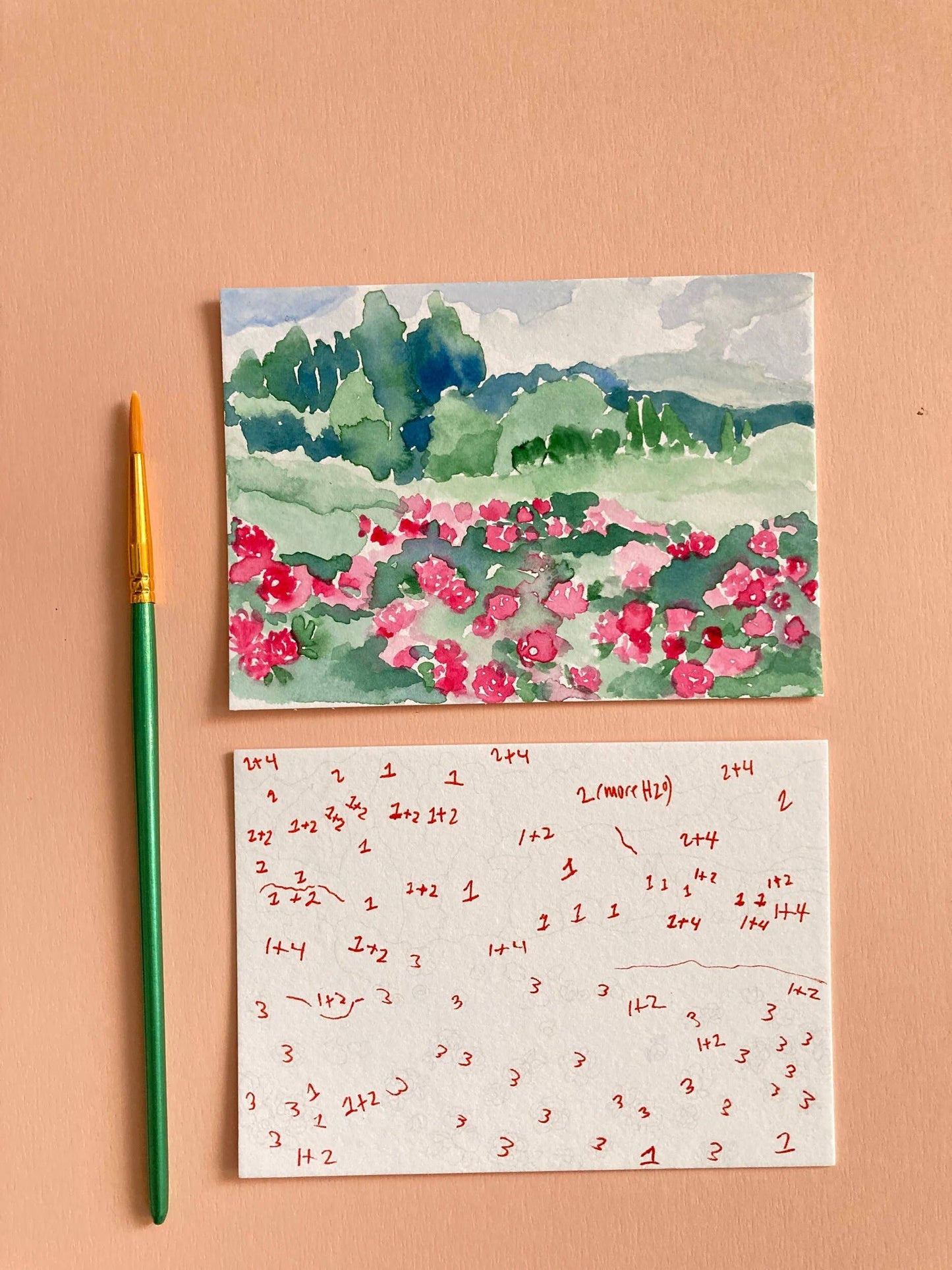 Rose Flowers Landscape Watercolor Paint by Number DIY  Kit