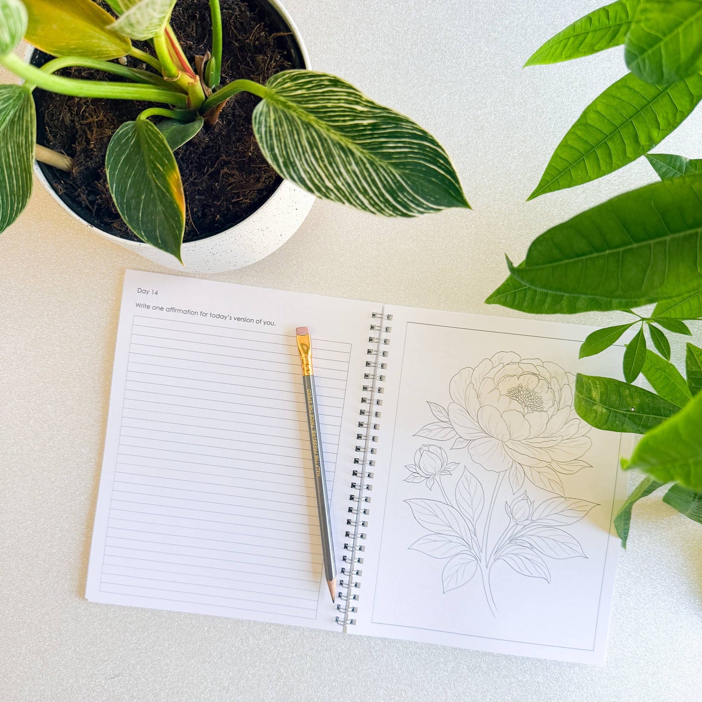 Open notebook with floral drawing, pen, and potted plant on a light surface