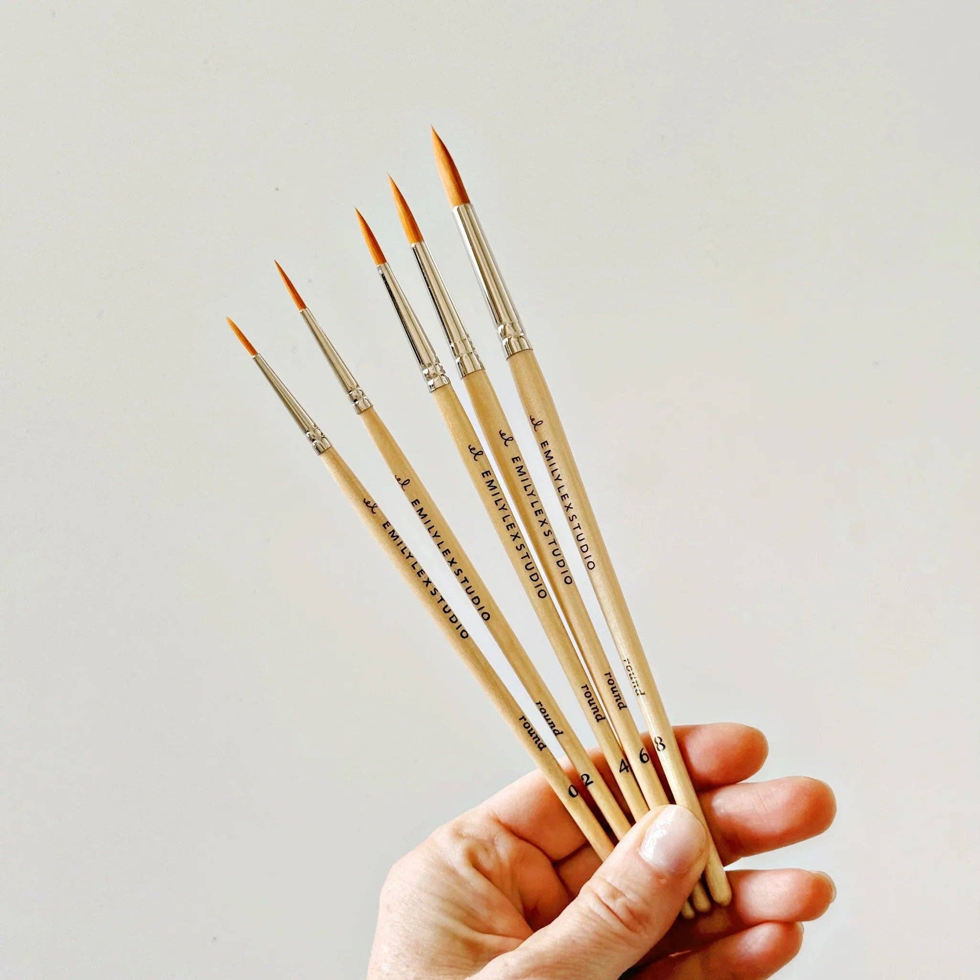 Hand holding a set of paint brushes against a plain background