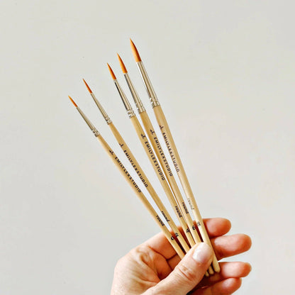Hand holding a set of paint brushes against a plain background