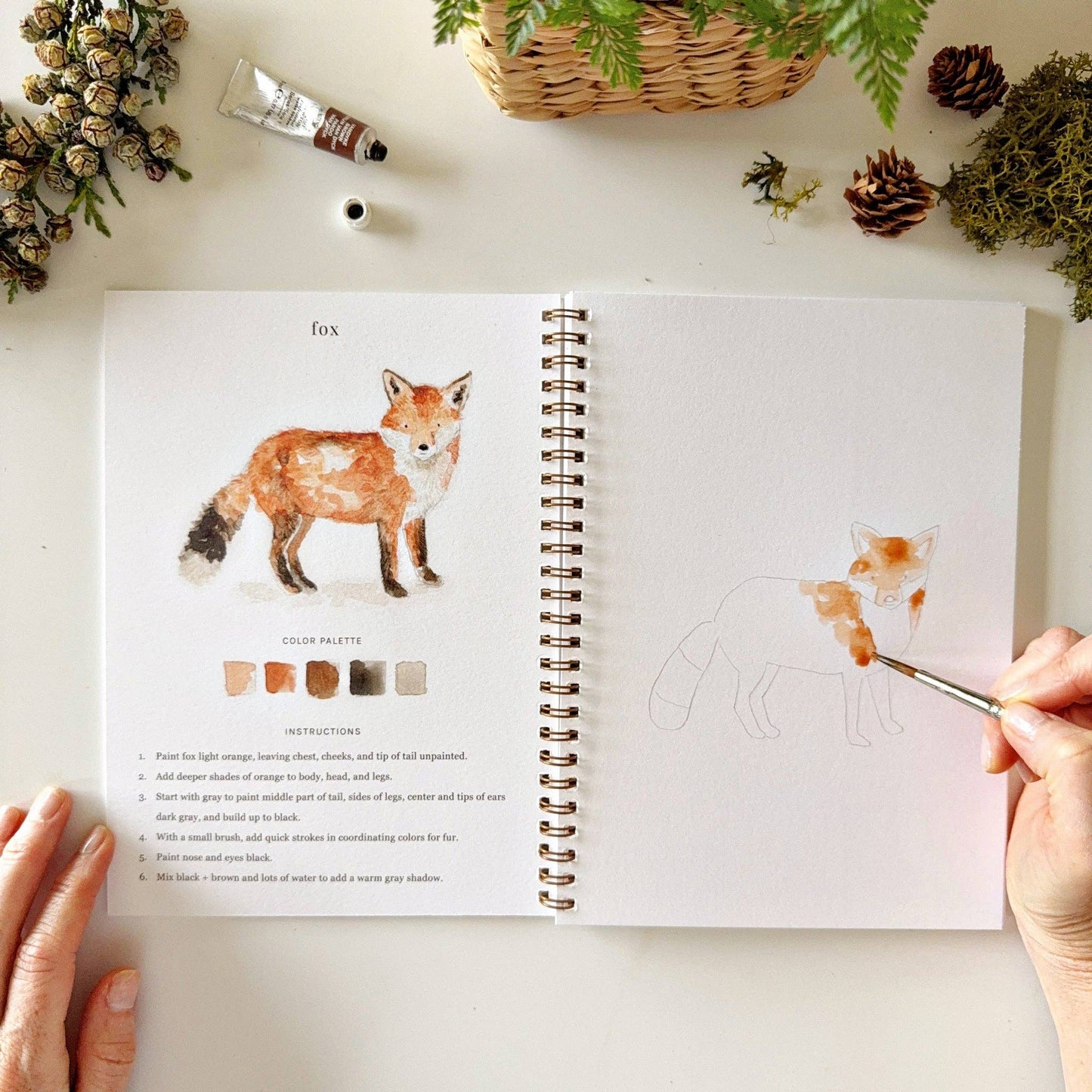Watercolor Workbooks By Emily Lex Studio  — practice lessons, exercises and study projects