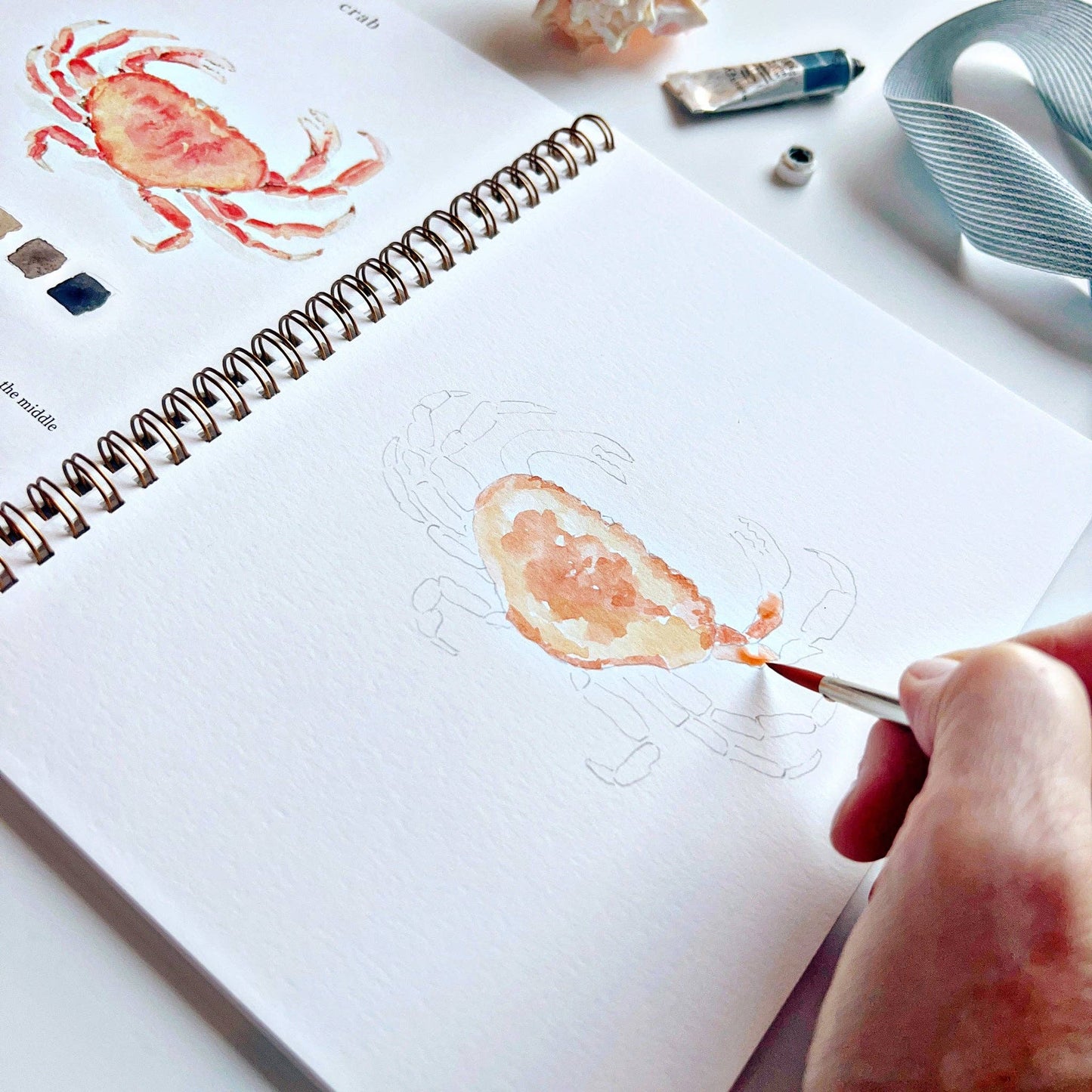 Watercolor Workbooks By Emily Lex Studio  — practice lessons, exercises and study projects