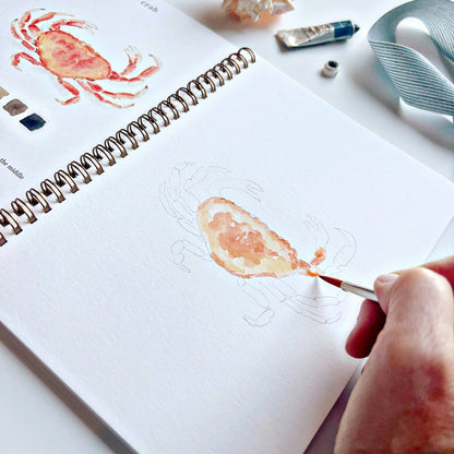 Watercolor Workbooks By Emily Lex Studio  — practice lessons, exercises and study projects