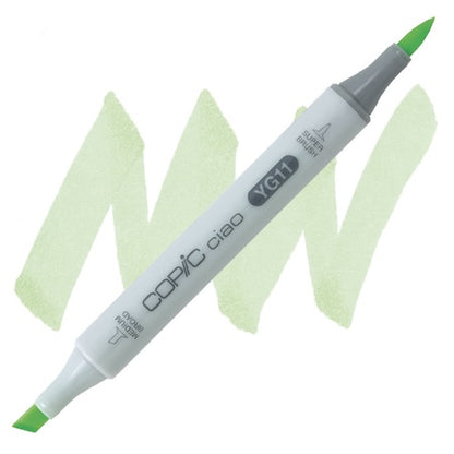 A double-ended Copic Ciao marker with a super brush tip on one end and a medium broad tip on the other, with a green cap on the end.