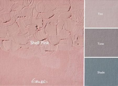 Textured shell pink color swatch with 'Camlin' branding and additional color options.