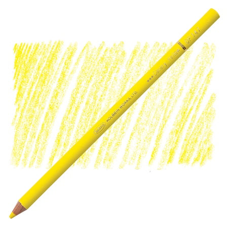 Holbein Colored Pencil -  Canary Yellow