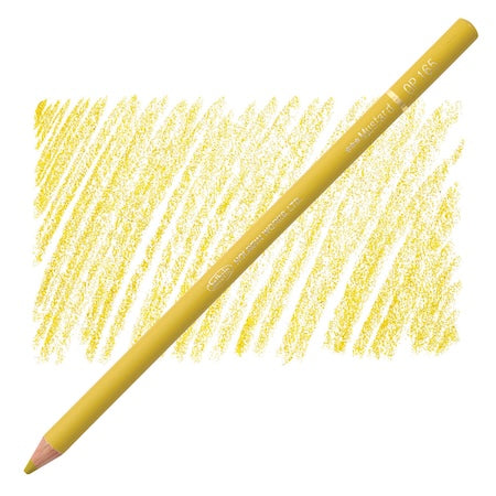 Holbein Colored Pencil -  Mustard