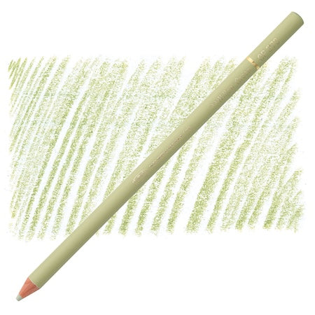 Holbein Colored Pencil -  Willow Green