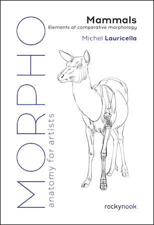 Morpho: Simplified Forms: Mammals: Elements of Comparative Morphology